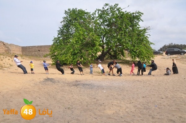 roben awqfaf0412 (11).JPG